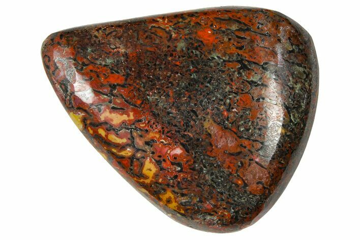 Polished Dinosaur Bone (Gembone) Cabochon - Colorado #370756
